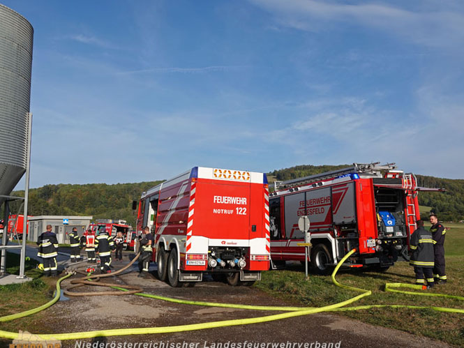 20231007_Großbrand in Heizungsanlage von Hühnerstall in Schwarzensee/Neuhaus  Foto: Stefan Schneider BFK Baden