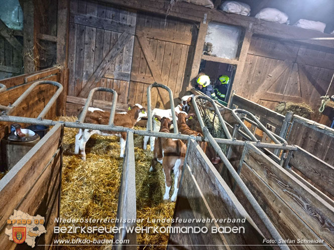 20231105 Großbrand in Klein-Mariazell Altenmarkt a.d.Triesting  Foto: Stefan Schneider