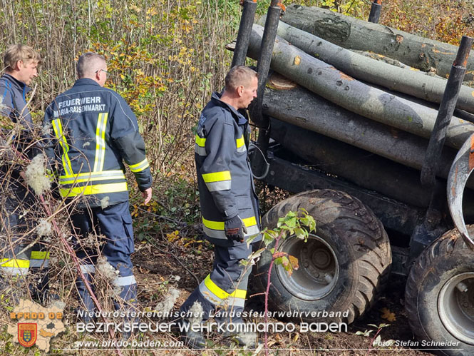 20231106 Schwerer Forstunfall am Hohen Lindkogel Maria Raisenmarkt Foto: Stefan Schneider BFKDO Baden 20231106 Schwerer Forstunfall am Hohen Lindkogel Maria Raisenmarkt Foto: Stefan Schneider BFKDO Baden