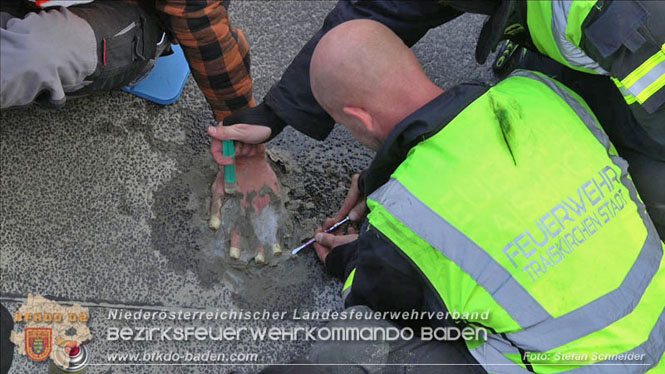 20231120 Feuerwehreinsatz wegen Klima-Aktivisten auf A2 Höhe Traiskirchen Foto: Stefan Schneider BFKDO BADEN 20231120 Feuerwehreinsatz wegen Klima-Aktivisten auf A2 Höhe Traiskirchen Foto: Stefan Schneider BFKDO BADEN