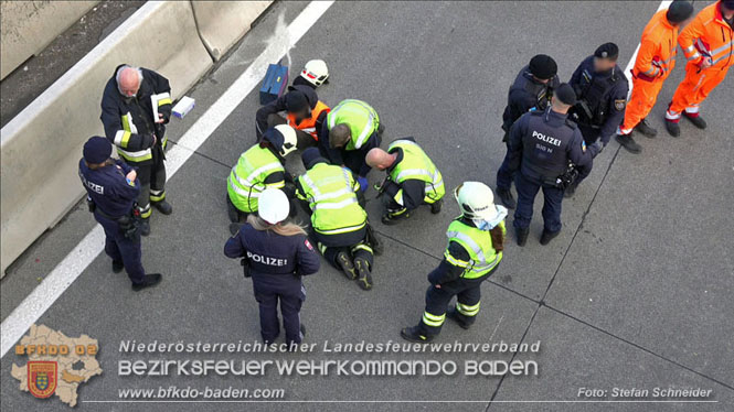 20231120 Feuerwehreinsatz wegen Klima-Aktivisten auf A2 Höhe Traiskirchen Foto: Stefan Schneider BFKDO BADEN 20231120 Feuerwehreinsatz wegen Klima-Aktivisten auf A2 Höhe Traiskirchen Foto: Stefan Schneider BFKDO BADEN