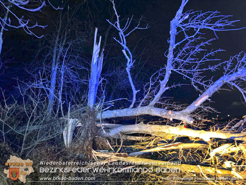 20231221 Sturmtief Zoltan erreicht Möllersdorf  Foto: Freiwillige Feuerwehr Möllersdorf