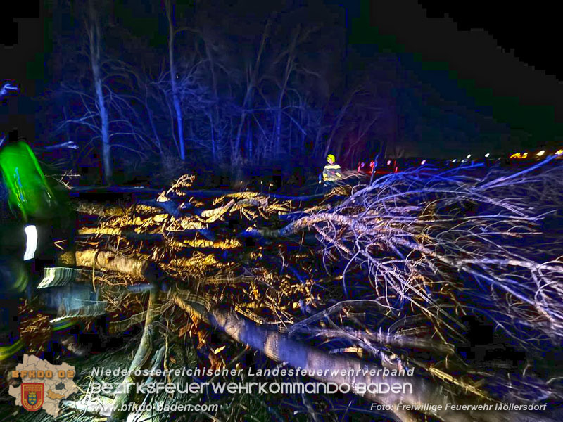 20231221 Sturmtief Zoltan erreicht Möllersdorf  Foto: Freiwillige Feuerwehr Möllersdorf