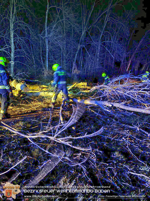 20231221 Sturmtief Zoltan erreicht Möllersdorf  Foto: Freiwillige Feuerwehr Möllersdorf