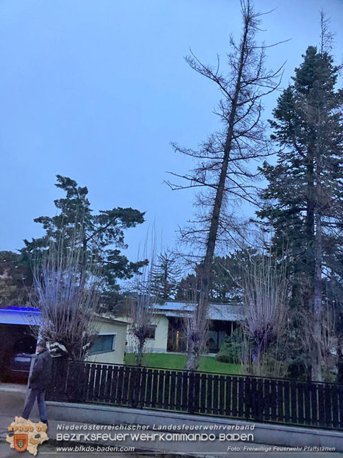 20231222 Baum drohte auf Gebäude zu stürzen  Foto: Freiwillige Feuerwehr Pfaffstätten