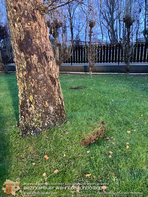 20231222 Baum drohte auf Gebäude zu stürzen  Foto: Freiwillige Feuerwehr Pfaffstätten