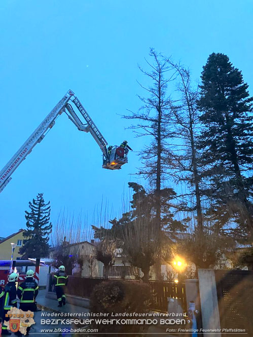 20231222 Baum drohte auf Gebäude zu stürzen  Foto: Freiwillige Feuerwehr Pfaffstätten