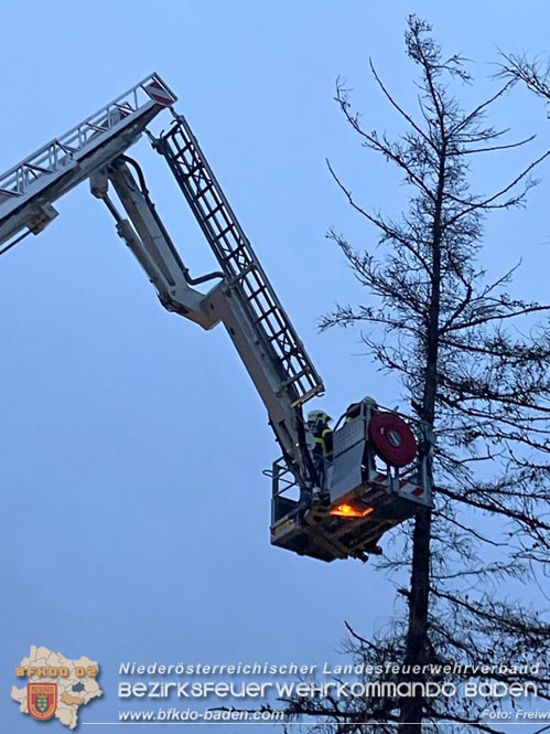 20231222 Baum drohte auf Gebäude zu stürzen  Foto: Freiwillige Feuerwehr Pfaffstätten