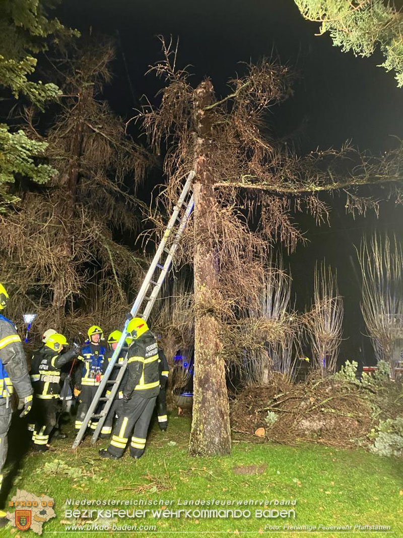 20231222 Baum drohte auf Gebäude zu stürzen  Foto: Freiwillige Feuerwehr Pfaffstätten