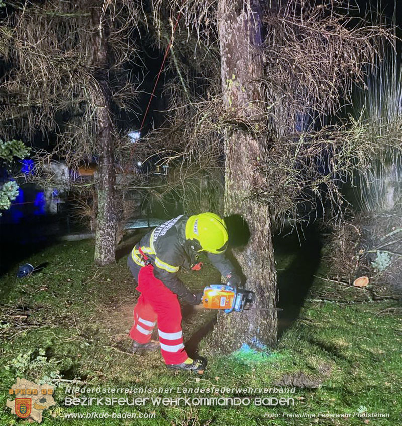 20231222 Baum drohte auf Gebäude zu stürzen  Foto: Freiwillige Feuerwehr Pfaffstätten