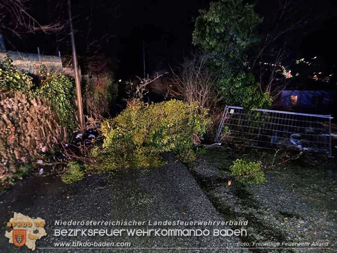 20231223 Mehrere Unwetter - Sturmeinsätze in Alland Foto: FF Alland 20231223 Mehrere Unwetter - Sturmeinsätze in Alland Foto: FF Alland