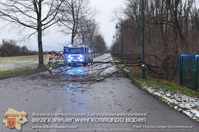 20231223 Sturmtief sorgt für Feuerwehreinsätze in Ebreichsdorf  Foto: Thomas Lenger Monatsrevue.at