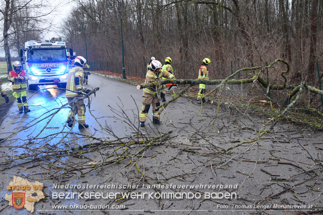20231223 Sturmtief sorgt für Feuerwehreinsätze in Ebreichsdorf  Foto: Thomas Lenger Monatsrevue.at