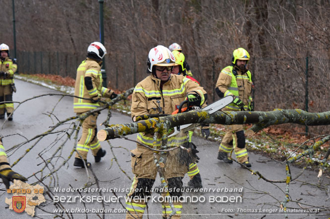20231223 Sturmtief sorgt für Feuerwehreinsätze in Ebreichsdorf  Foto: Thomas Lenger Monatsrevue.at