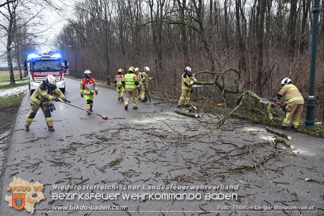 20231223 Sturmtief sorgt für Feuerwehreinsätze in Ebreichsdorf  Foto: Thomas Lenger Monatsrevue.at