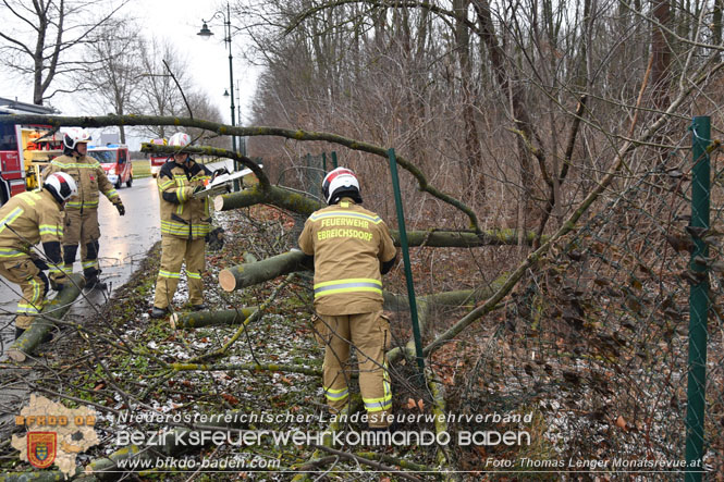 20231223 Sturmtief sorgt für Feuerwehreinsätze in Ebreichsdorf  Foto: Thomas Lenger Monatsrevue.at