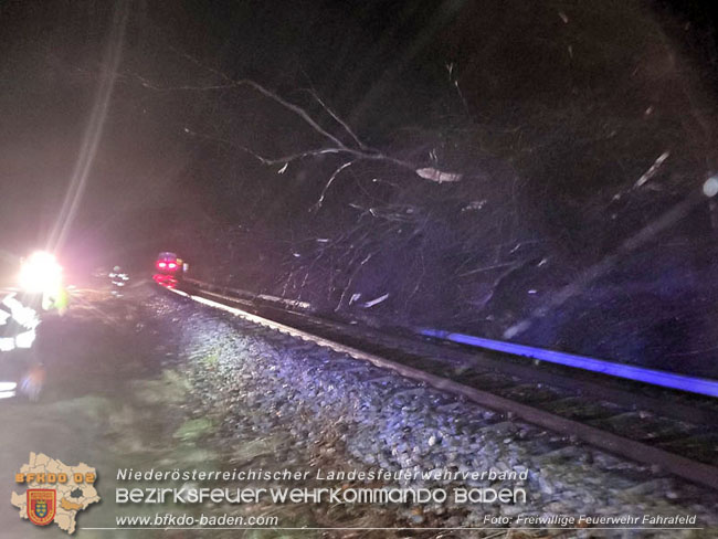 20231223 Zug gegen Baum im Triestingtal bei Fahrafeld  Foto: FF Fahrafeld
