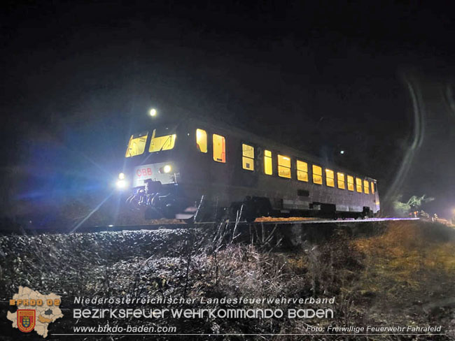 20231223 Zug gegen Baum im Triestingtal bei Fahrafeld  Foto: FF Fahrafeld