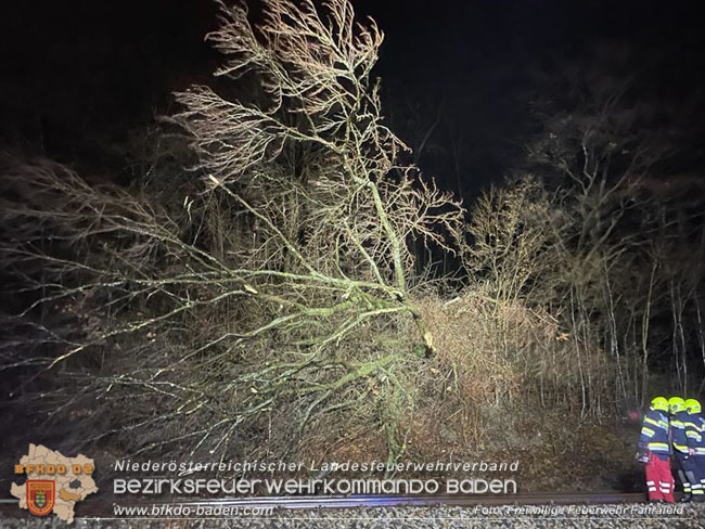 20231223 Zug gegen Baum im Triestingtal bei Fahrafeld  Foto: FF Fahrafeld