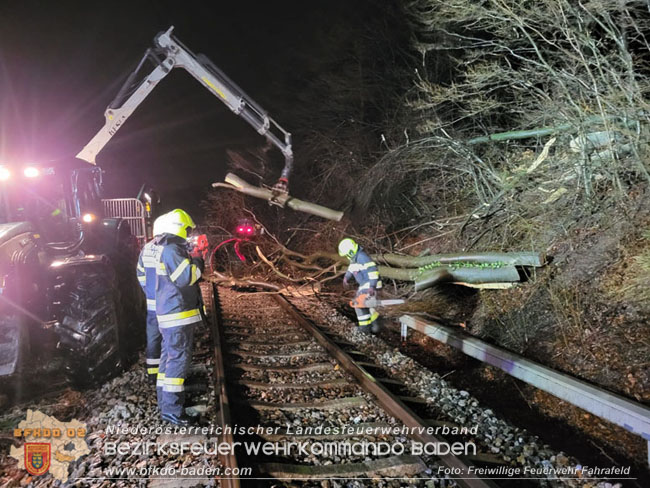 20231223 Zug gegen Baum im Triestingtal bei Fahrafeld  Foto: FF Fahrafeld