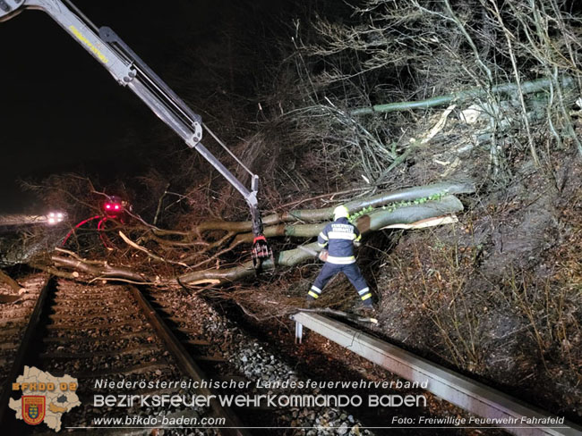 20231223 Zug gegen Baum im Triestingtal bei Fahrafeld  Foto: FF Fahrafeld