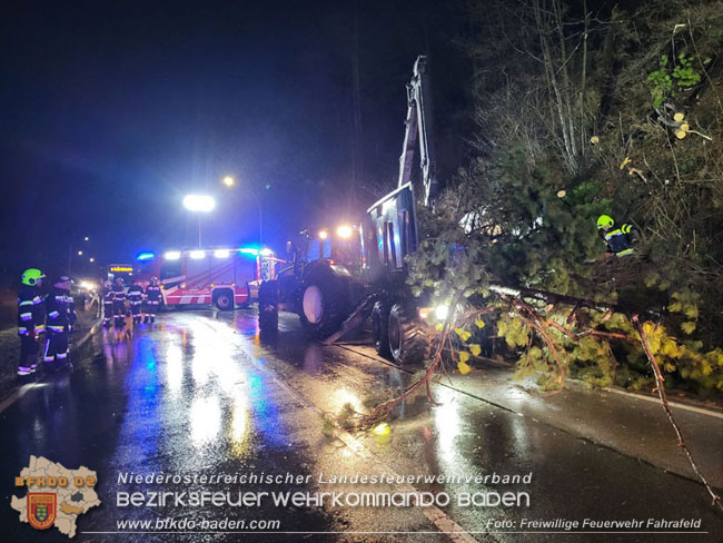 20231223 Umgestürzte Bäume auf der LB18 bei Pottenstein  Foto: FF Fahrafeld