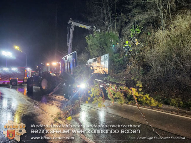 20231223 Umgestürzte Bäume auf der LB18 bei Pottenstein  Foto: FF Fahrafeld