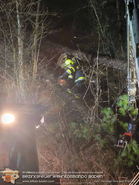 20231223 Umgestürzte Bäume auf der LB18 bei Pottenstein  Foto: FF Fahrafeld