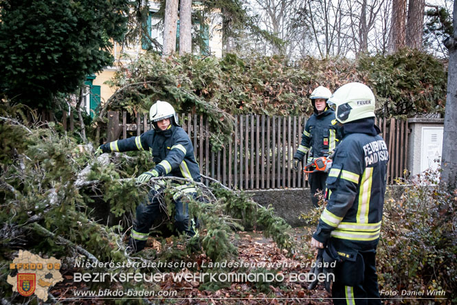 Sturmtief Zoltan über Bad Vöslau - 25 wetterbedingte Einsätze zu Weihnachten!  Foto: Daniel Wirth