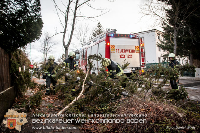 Sturmtief Zoltan über Bad Vöslau - 25 wetterbedingte Einsätze zu Weihnachten!  Foto: Daniel Wirth
