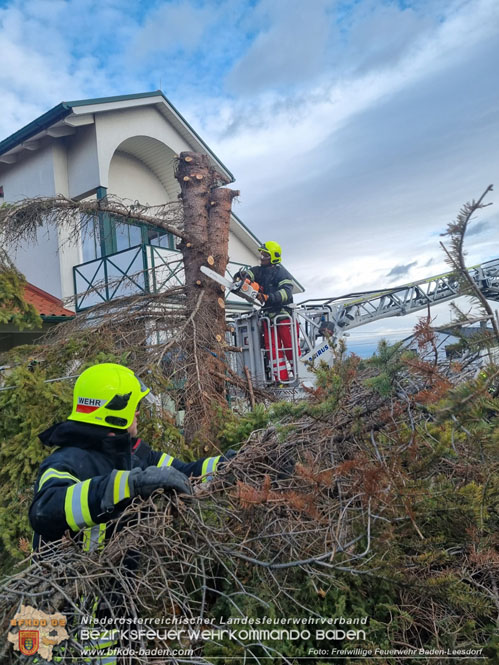 202312 40 Unwettereinsätze in der Stadt Baden wegen Sturmtief "Zoltan" Foto: Freiwillige Feuerwehr Baden-Leesdorf 202312 40 Unwettereinsätze in der Stadt Baden wegen Sturmtief "Zoltan" Foto: Freiwillige Feuerwehr Baden-Leesdorf