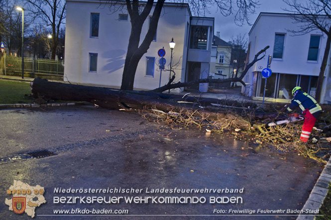 202312 40 Unwettereinsätze in der Stadt Baden wegen Sturmtief "Zoltan" Foto: Freiwillige Feuerwehr Baden-Stadt / Yvonne Riesner 202312 40 Unwettereinsätze in der Stadt Baden wegen Sturmtief "Zoltan" Foto: Freiwillige Feuerwehr Baden-Stadt / Yvonne Riesner
