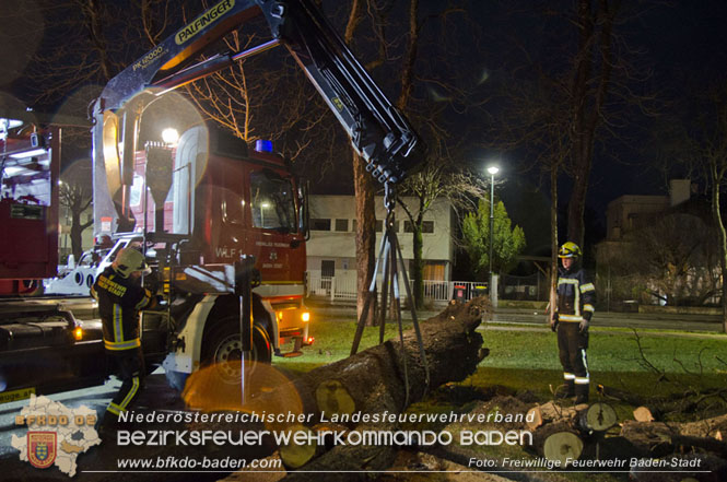 202312 40 Unwettereinsätze in der Stadt Baden wegen Sturmtief "Zoltan" Foto: Freiwillige Feuerwehr Baden-Stadt / Yvonne Riesner 202312 40 Unwettereinsätze in der Stadt Baden wegen Sturmtief "Zoltan" Foto: Freiwillige Feuerwehr Baden-Stadt / Yvonne Riesner