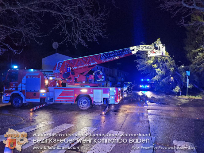 202312 40 Unwettereinsätze in der Stadt Baden wegen Sturmtief "Zoltan" Foto: Freiwillige Feuerwehr Baden-Stadt / Stefan Schneider 202312 40 Unwettereinsätze in der Stadt Baden wegen Sturmtief "Zoltan" Foto: Freiwillige Feuerwehr Baden-Stadt / Stefan Schneider