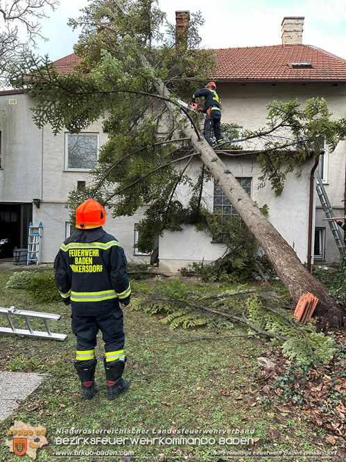 202312 40 Unwettereinsätze in der Stadt Baden wegen Sturmtief "Zoltan" Foto: Freiwillige Feuerwehr Baden Weikersdorf 202312 40 Unwettereinsätze in der Stadt Baden wegen Sturmtief "Zoltan" Foto: Freiwillige Feuerwehr Baden Weikersdorf