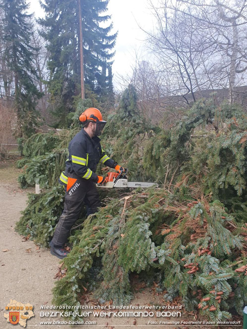 202312 40 Unwettereinsätze in der Stadt Baden wegen Sturmtief "Zoltan" Foto: Freiwillige Feuerwehr Baden Weikersdorf 202312 40 Unwettereinsätze in der Stadt Baden wegen Sturmtief "Zoltan" Foto: Freiwillige Feuerwehr Baden Weikersdorf