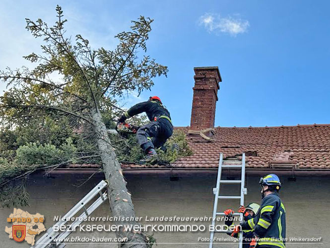 202312 40 Unwettereinsätze in der Stadt Baden wegen Sturmtief "Zoltan" Foto: Freiwillige Feuerwehr Baden Weikersdorf 202312 40 Unwettereinsätze in der Stadt Baden wegen Sturmtief "Zoltan" Foto: Freiwillige Feuerwehr Baden Weikersdorf