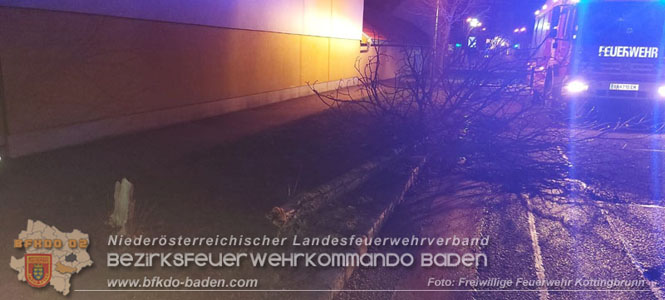 Sturmtief "Zoltan" fordert FF Kottingbrunn gleich 30 Mal Foto: Freiwillige Feuerwehr Kottingbrunn Sturmtief "Zoltan" fordert FF Kottingbrunn gleich 30 Mal Foto: Freiwillige Feuerwehr Kottingbrunn