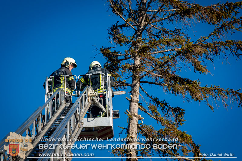 20240104 Sturm über Bad Vöslau  Foto: Daniel Wirth