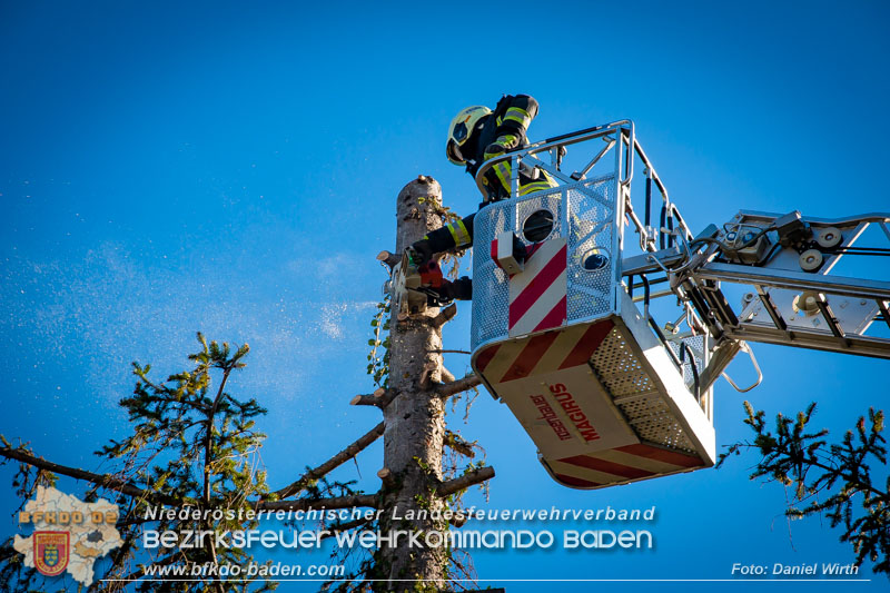 20240104 Sturm über Bad Vöslau  Foto: Daniel Wirth