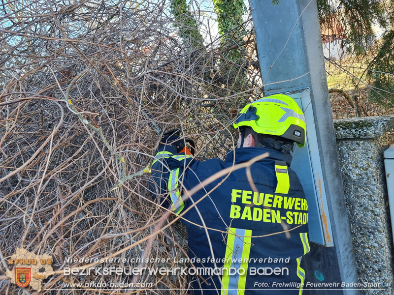 20240104 Sturm über Baden  Foto: Freiwillige Feuerwehr Baden-Stadt