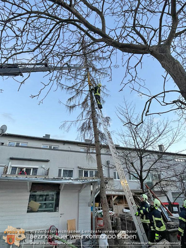 20240104 Sturm über Hirtenberg  Foto: Freiwillige Feuerwehr Hirtenberg