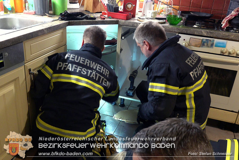 20240106_Feuerwehr rettet „Carlo" in Pfaffstaetten aus Kuechenzeile  Foto: Stefan Schneider BFKDO BADEN