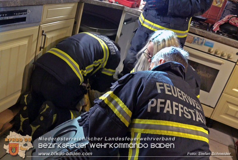 20240106_Feuerwehr rettet „Carlo" in Pfaffstaetten aus Kuechenzeile  Foto: Stefan Schneider BFKDO BADEN