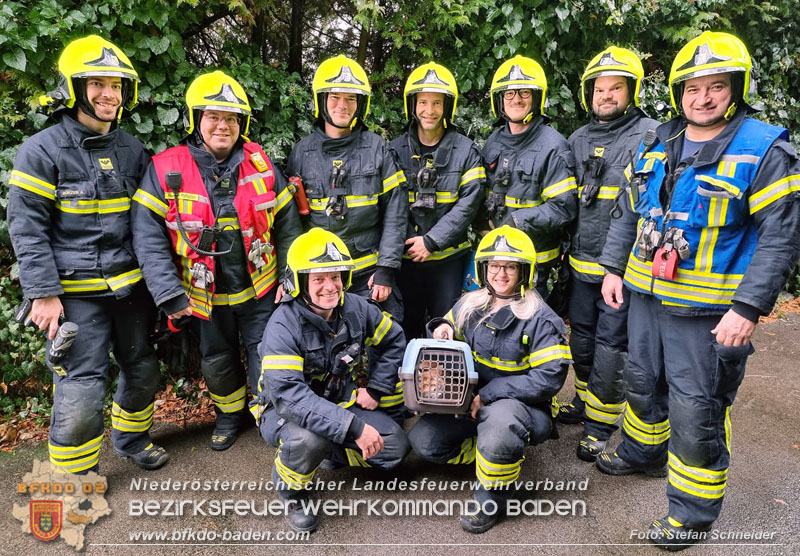 20240106_Feuerwehr rettet „Carlo" in Pfaffstaetten aus Kuechenzeile  Foto: Stefan Schneider BFKDO BADEN
