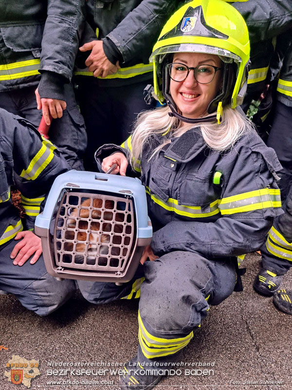 20240106_Feuerwehr rettet „Carlo" in Pfaffstaetten aus Kuechenzeile  Foto: Stefan Schneider BFKDO BADEN