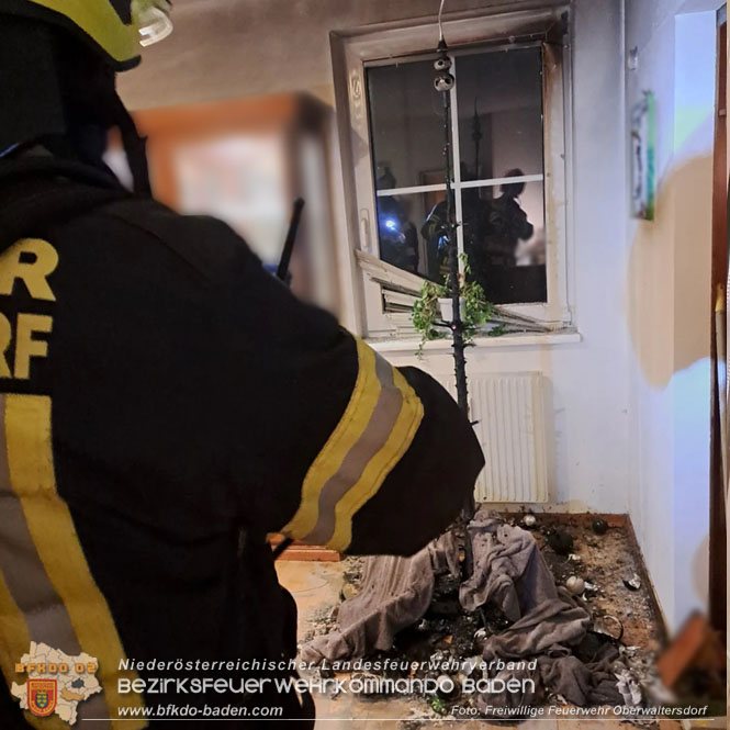 20240107_Christbaumbrand am 7. Jänner in Oberwaltersdorf   Foto: Freiwillige Feuerwehr Oberwaltersdorf