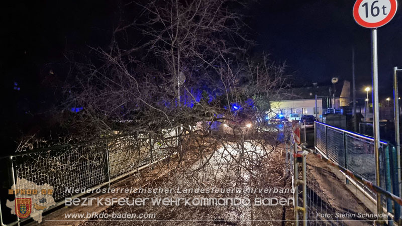 20240123 Sturmschaden - Baum stürzt auf Brückengeländer in Tribuswinkel  Foto: Stefan Schneider