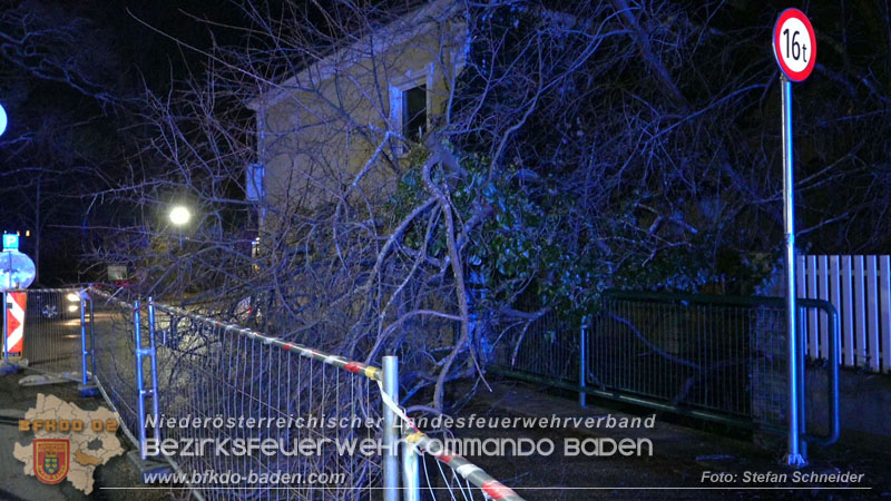 20240123 Sturmschaden - Baum stürzt auf Brückengeländer in Tribuswinkel  Foto: Stefan Schneider