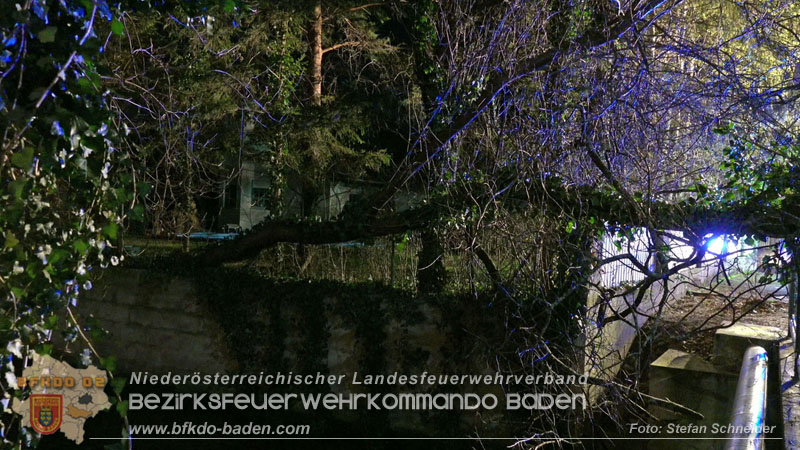 20240123 Sturmschaden - Baum stürzt auf Brückengeländer in Tribuswinkel  Foto: Stefan Schneider